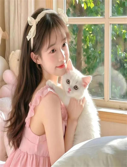 音乐片艺术分析：轰轰战队的市场表现与观众反响 ——音乐片的专业鉴赏